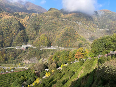 秋游自駕神農(nóng)架記