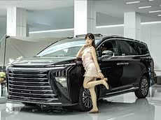 小姐姐探店 東風風行星海V9