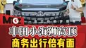 丰田小海狮、商务出行倍有面、