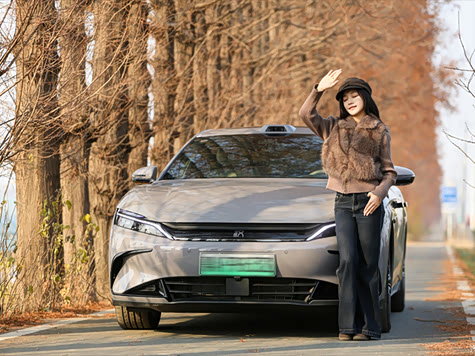 冬日光影里 汉与红杉旁的松弛时刻