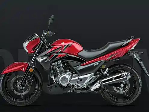 【豪爵铃木 骊驰 gw250图片】品牌_最新豪爵铃木 骊驰 gw250车型图片