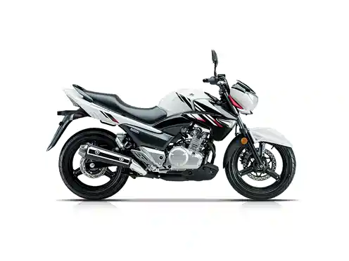 【豪爵铃木 骊驰 gw250图片】品牌_最新豪爵铃木 骊