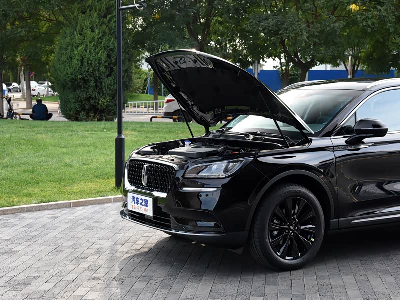 长安林肯 冒险家 2020款 2.0t 两驱黑骑士限量版