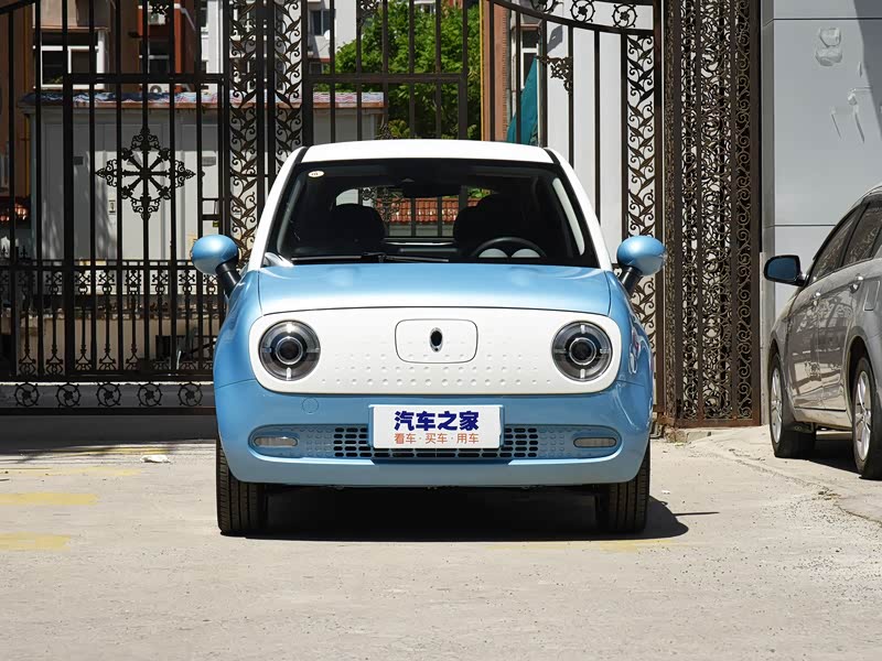 长城汽车 欧拉r1 2019款 351km 灵智版