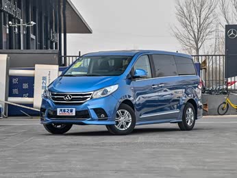 大通g10 2021款 2.0t 自动精英版 汽油 9座