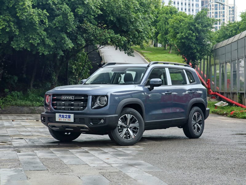 长城汽车 哈弗大狗 2021款 1.5t dct两驱拉布拉多版