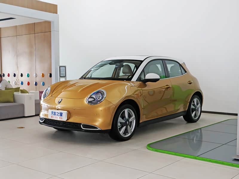 长城汽车 欧拉好猫 2021款 400km标准续航 雅典娜版 三元锂