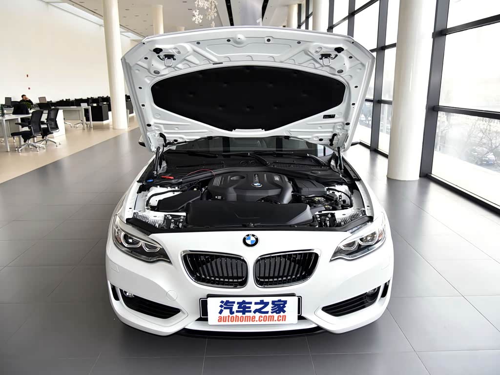 宝马(进口) 宝马2系 2017款 220i 领先型