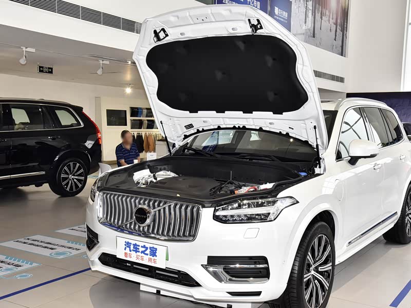 沃尔沃(进口) 沃尔沃xc90新能源 2021款 e驱混动 t8 智尊豪华版 7座
