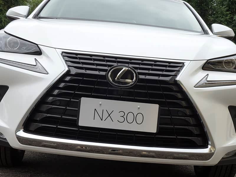 雷克萨斯 雷克萨斯nx 2018款 300 全驱 锋尚版