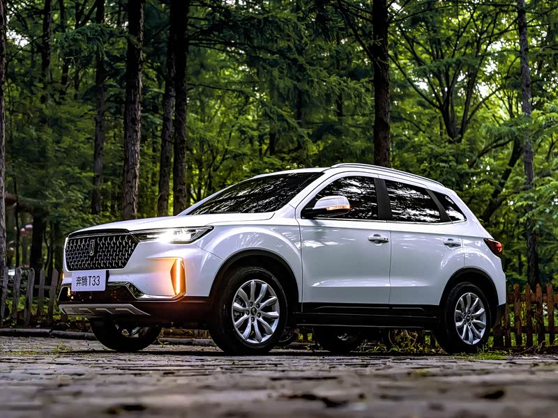 【图解图片_滕州一汽红旗奔腾4s店奔腾t33图片】-汽车之家