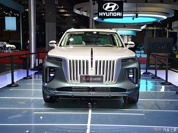 【红旗e-hs9热销中 售价50.