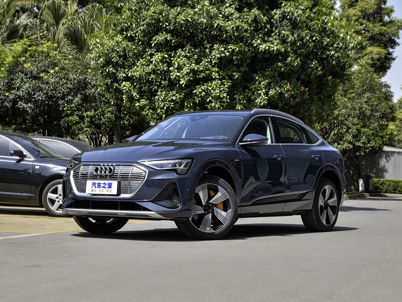 奥迪(进口) 奥迪e-tron(进口) 2021款 sportback 55 quattro 臻选型