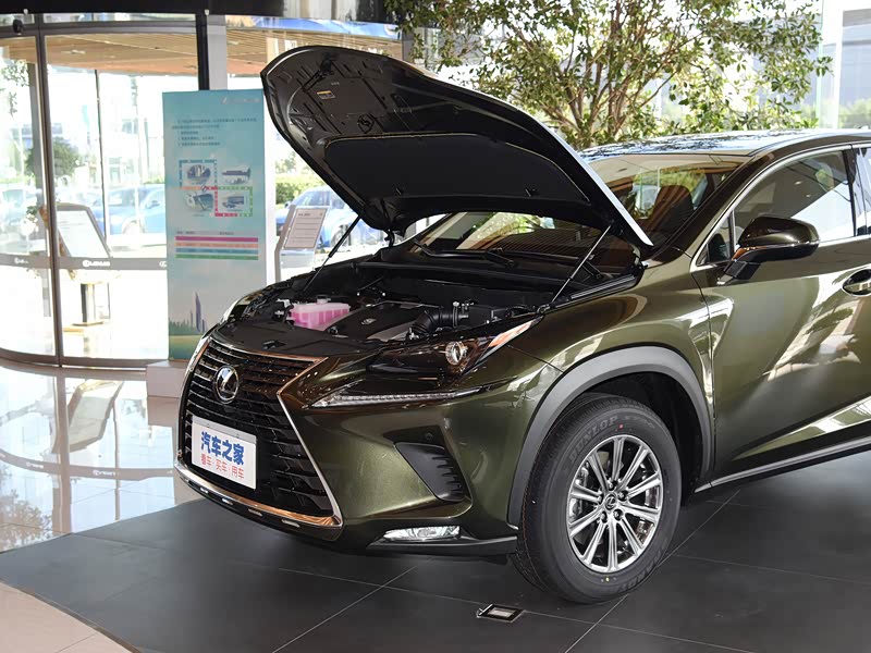 【图解图片_石家庄中升雷克萨斯雷克萨斯nx图片】-汽车之家