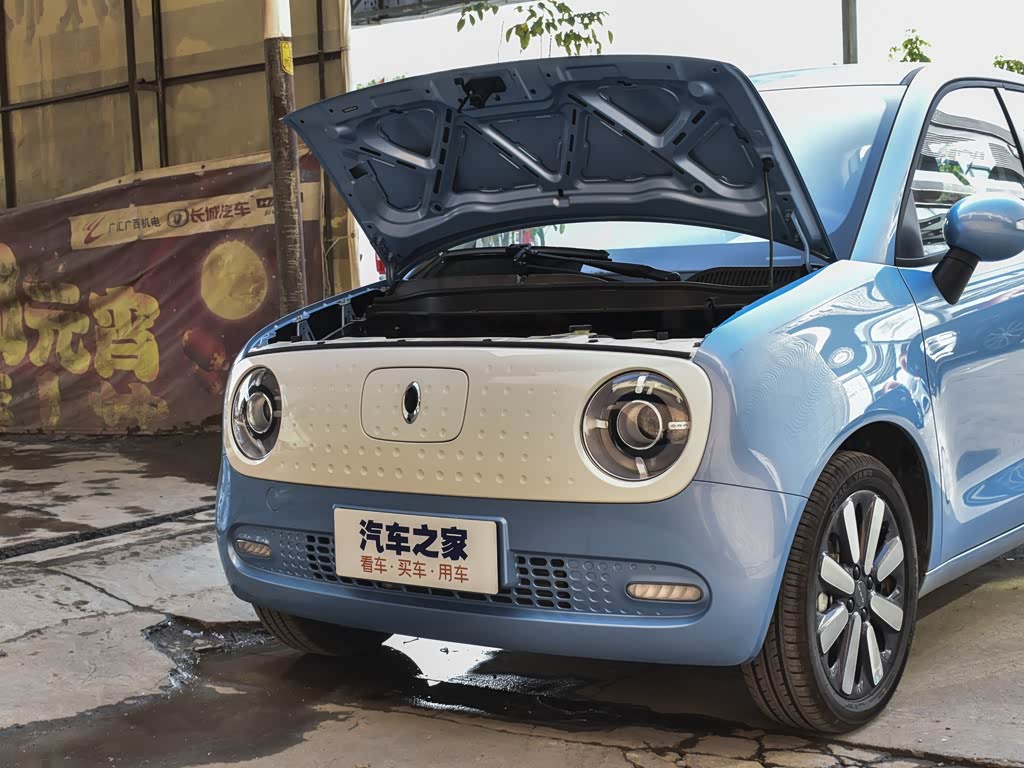 长城汽车 欧拉r1 2019款 351km 亲子版