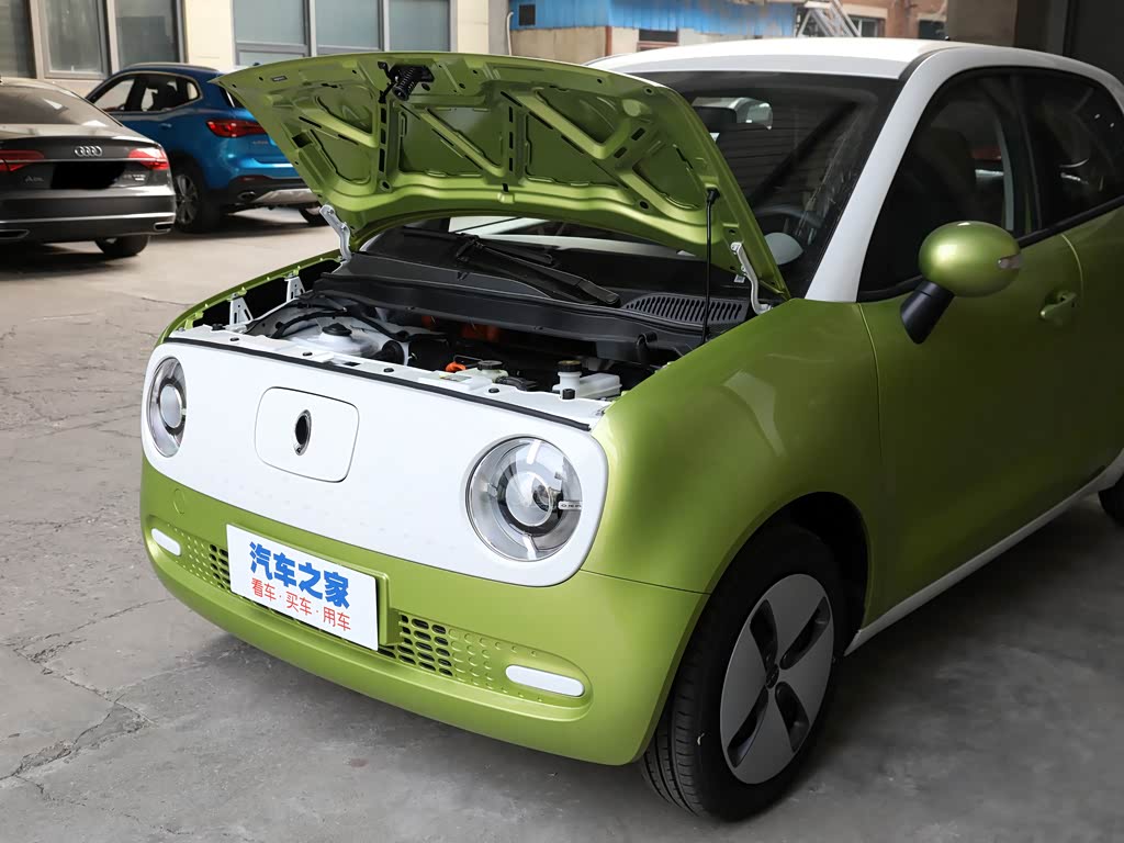 长城汽车 欧拉黑猫 2021款 301km 基础型