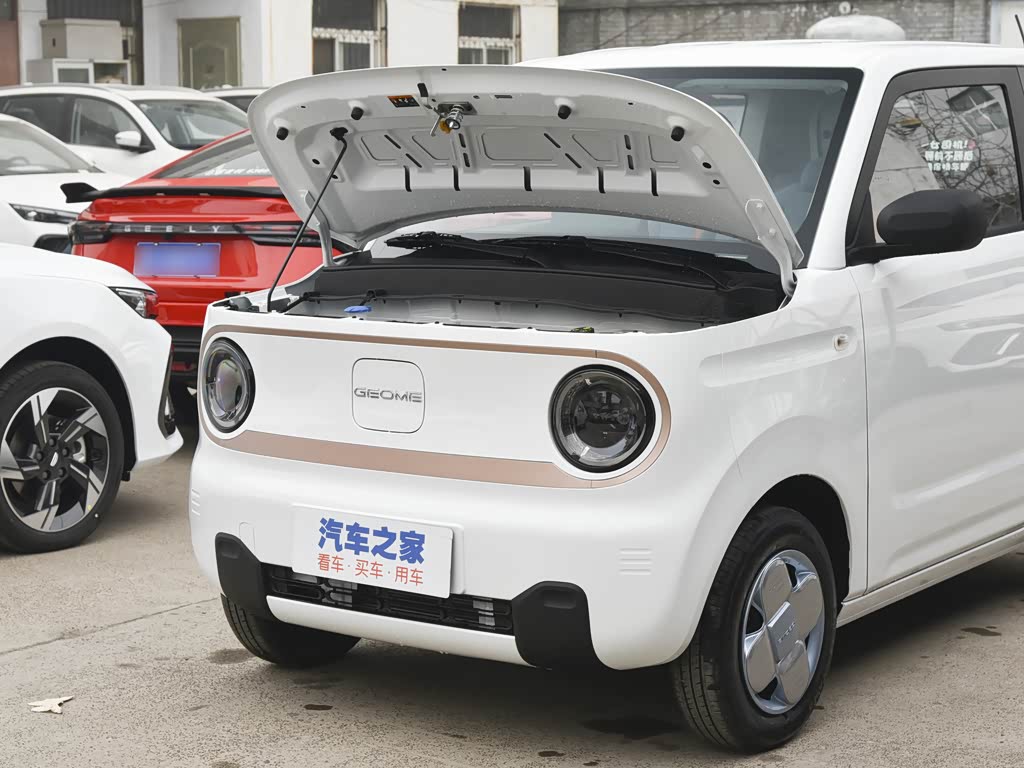 吉利汽车 熊猫 2023款 熊猫mini 200km 耐力熊