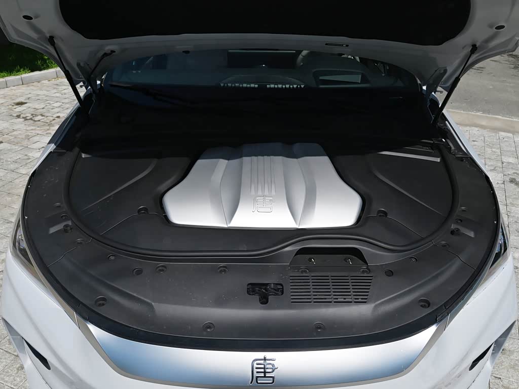 比亚迪 唐新能源 2024款 ev 冠军版 730km 尊享型