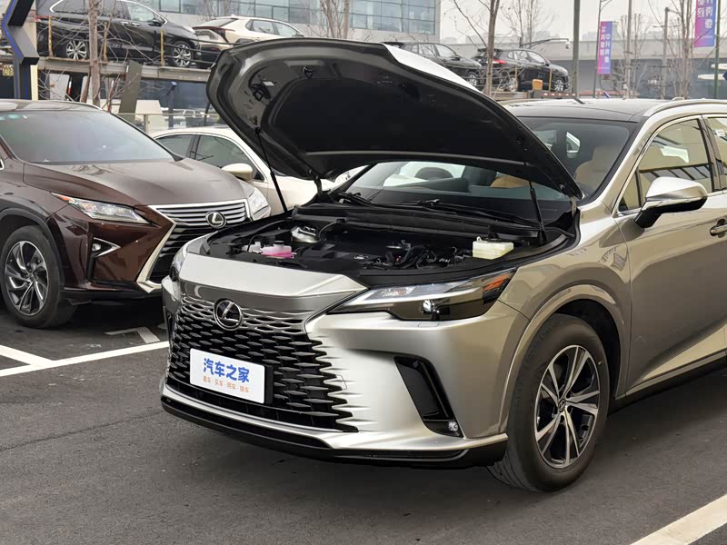 雷克萨斯 雷克萨斯rx 2023款 350h 两驱舒享版