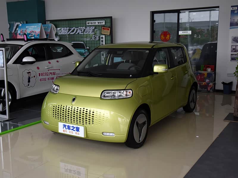 长城汽车 欧拉白猫 2020款 360km 豪华型