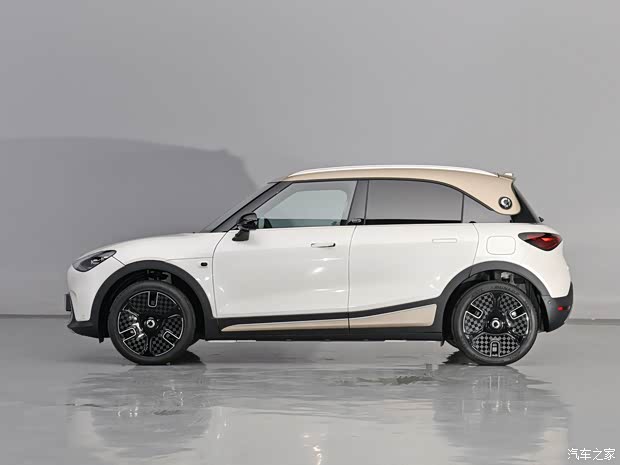 smart精灵1价格稳定售价179万元起