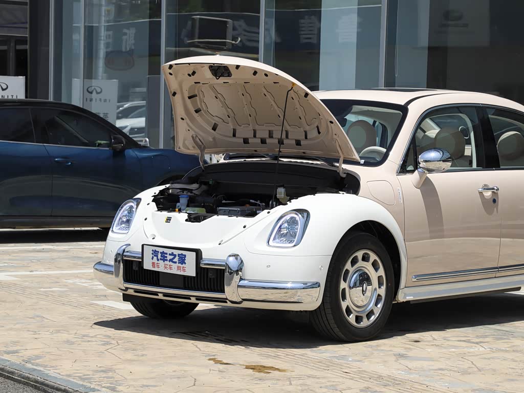 长城汽车 欧拉芭蕾猫 2022款 500km 天鹅湖版