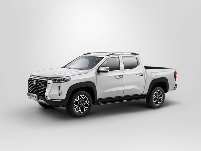 长安汽车 长安览拓者 2023款 2.0t自动四驱汽油旗舰型标箱