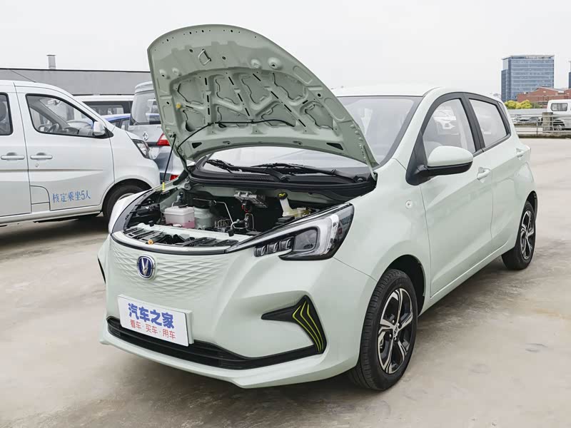 长安汽车 奔奔e-star 2022款 赏心版 多彩款 磷酸铁锂