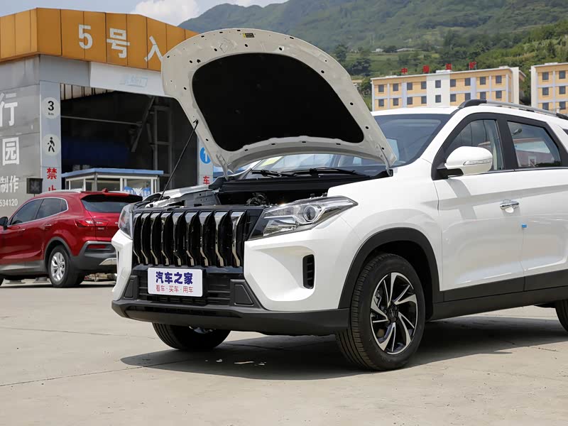 赛力斯蓝电廊坊建设南路店>东风小康>风光s560>2022款1.