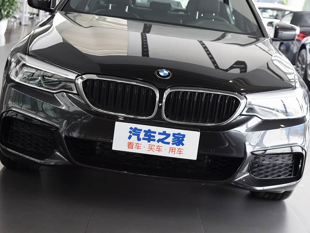 宝马(进口) 宝马5系(进口) 2020款 530i m运动套装