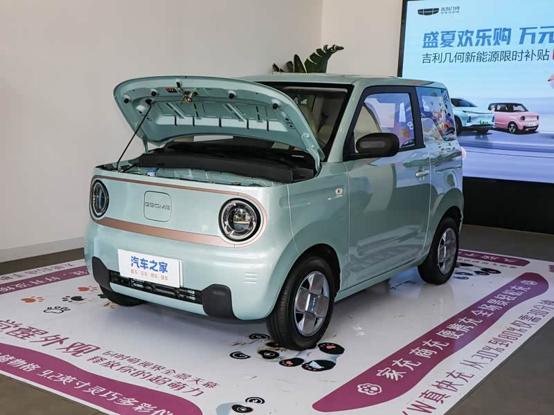 吉利汽车 熊猫 2023款 熊猫mini 120km 萌萌熊