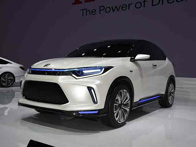 理念纯电动concept