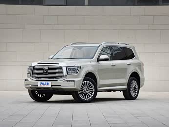 0t 商务版 造境型 5座 报价】坦克500图片