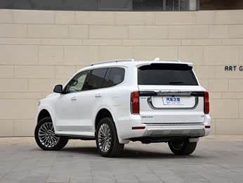 0t 商务版 造境型 5座 报价】坦克500图片