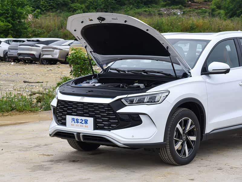 比亚迪 宋pro新能源 2023款 冠军版 dm-i 110km超越型