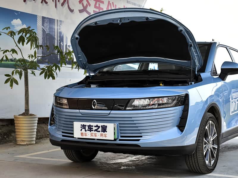 长城汽车 欧拉iq 2018款 高续航版 智联型