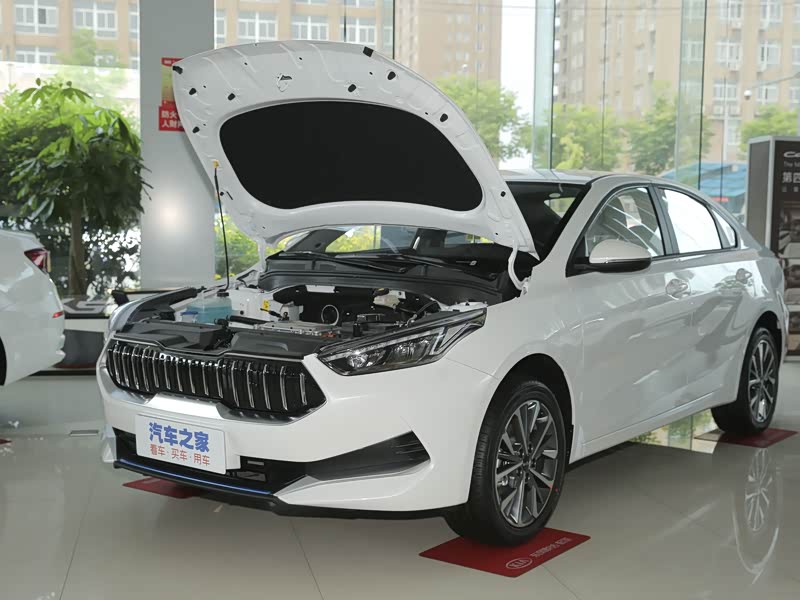 悦达起亚 起亚k3新能源 2021款 ev 舒适版 410km