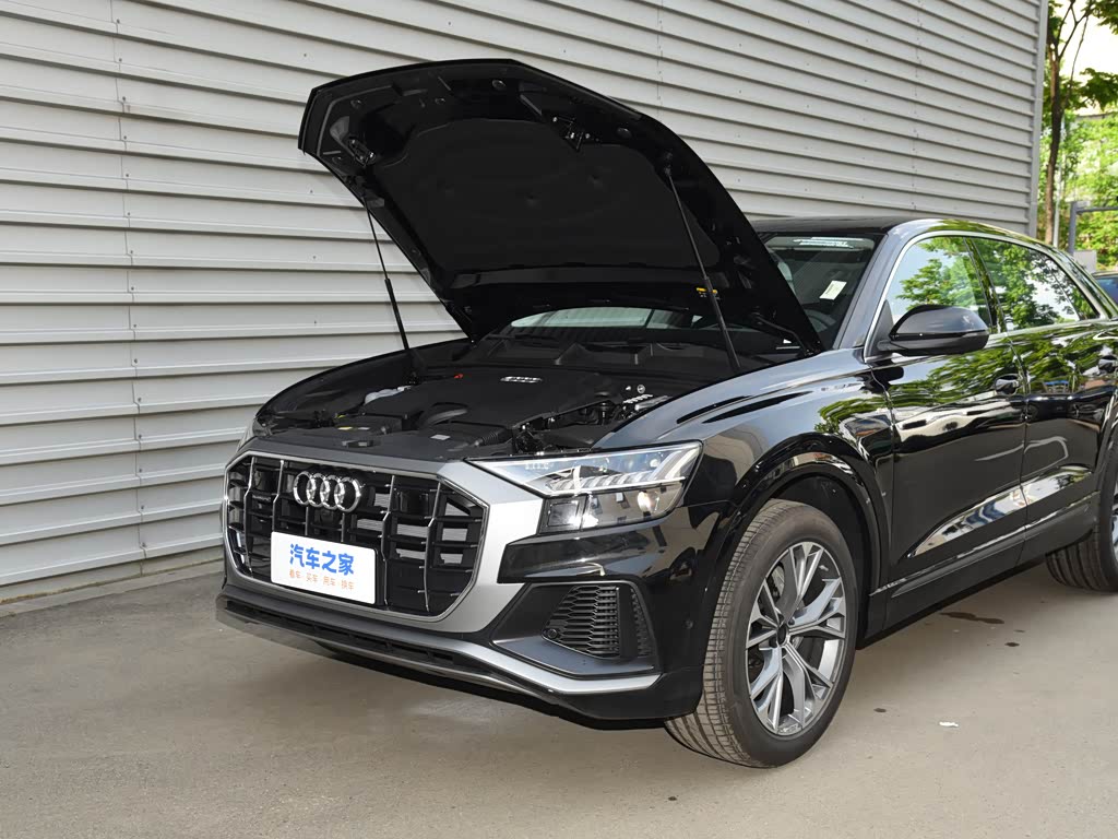 奥迪(进口) 奥迪q8 2023款 55 tfsi 豪华动感型