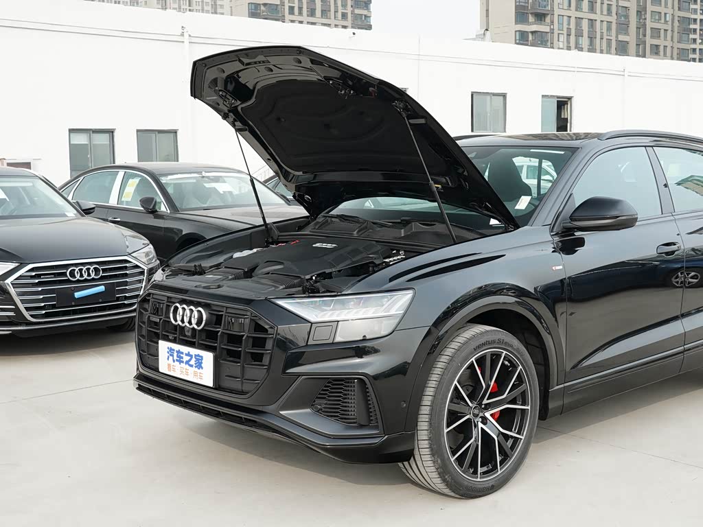 奥迪(进口) 奥迪q8 2022款 55 tfsi 冰雪运动版