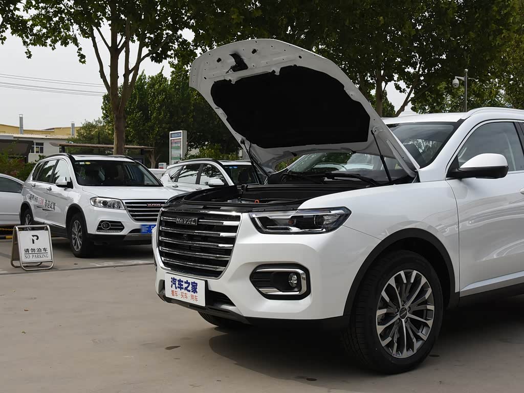 长城汽车 哈弗h6 2020款 1.5gdit 自动铂金冠军版