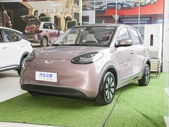 【2023款 333km 悦享款 报价】五菱缤果图片_配置_广州众赢-汽车之家