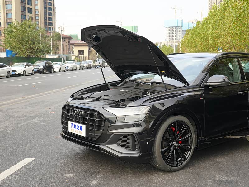 奥迪(进口) 奥迪q8 2021款 55 tfsi 暗夜骑士限量版