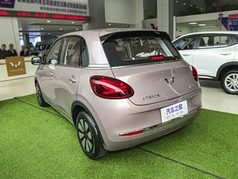 【2023款 333km 悦享款 报价】五菱缤果图片_配置_广州众赢-汽车之家