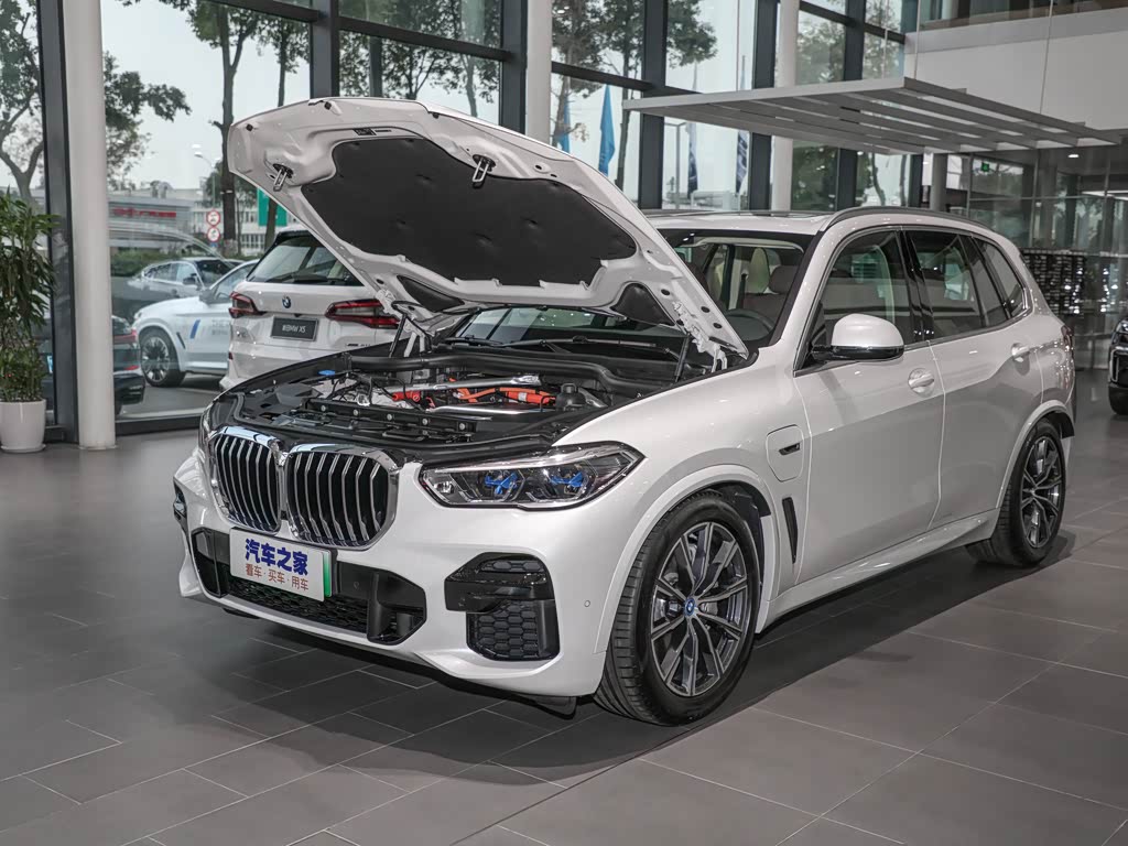 宝马(进口) 宝马x5新能源(进口) 2022款 xdrive45e m运动套装