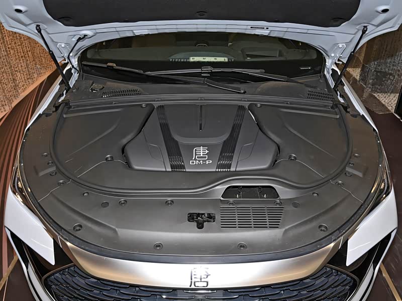 比亚迪 唐新能源 2024款 dm-p 冠军版 215km 四驱旗舰型