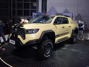 2021款 2.0t龙弹版gw4c20b