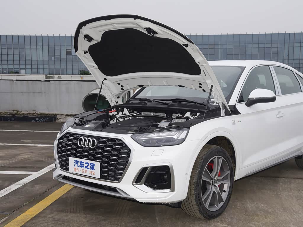 东昌金桥豪迪>一汽奥迪>奥迪q5lsportback>2022款45tfsi豪华型>朱鹭白