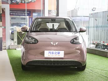 【2023款 333km 悦享款 报价】五菱缤果图片_配置_广州众赢-汽车之家