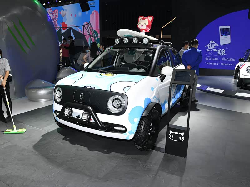 长城汽车 欧拉黑猫 2021款 破浪版