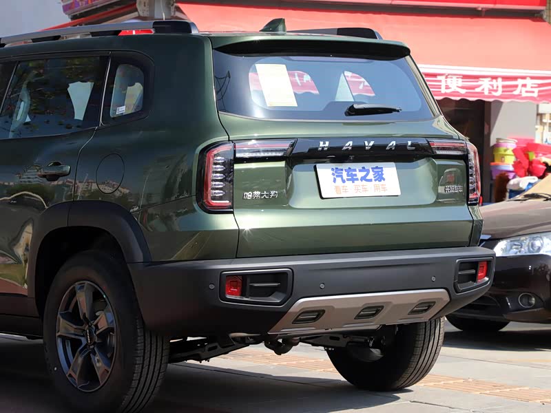 长城汽车 哈弗大狗 2021款 1.5t dct哈士奇版 绿狗 其它细节